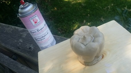 18320473_1508428585856440_2103236467002223245_o